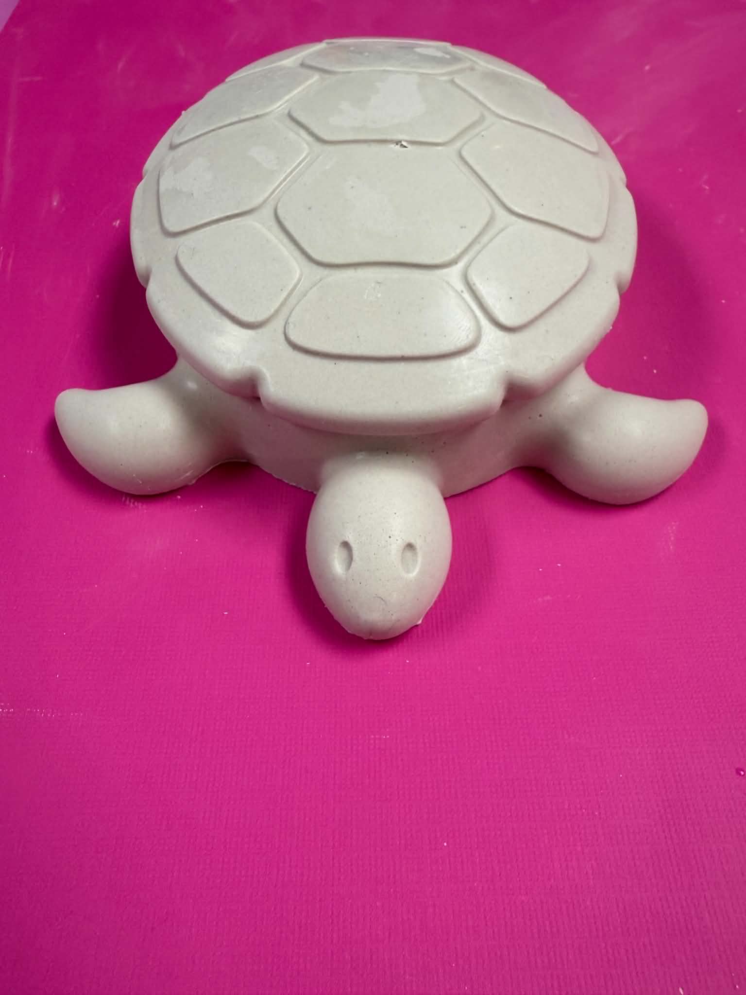 TURTLE JEWELERY BOX KIT