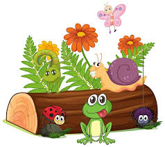 Collection feature image
