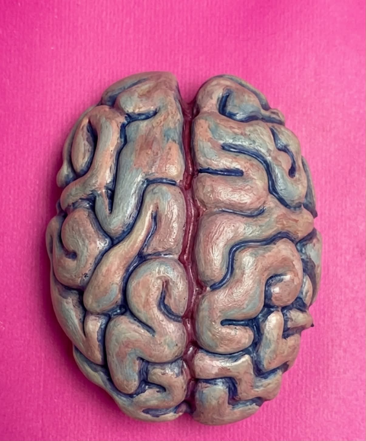 BRAIN KIT