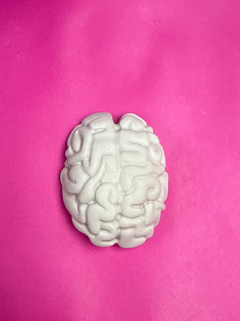BRAIN KIT