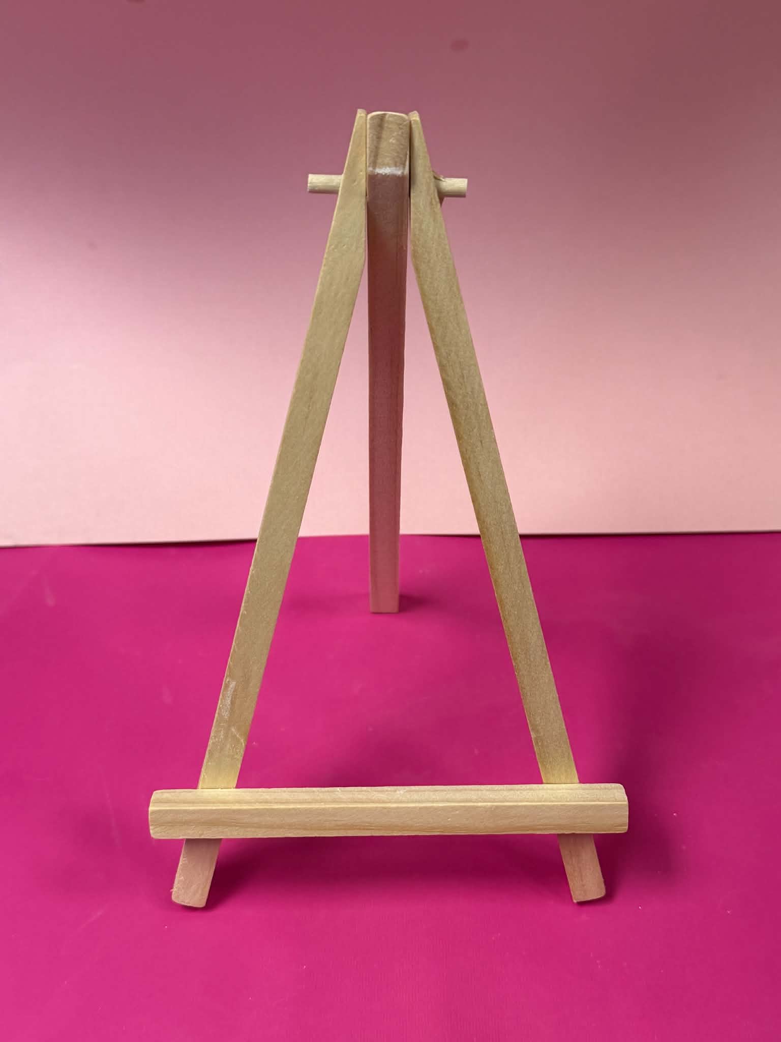 LARGE TURTLE PLAQUE WITH PAINTABLE EASEL KIT
