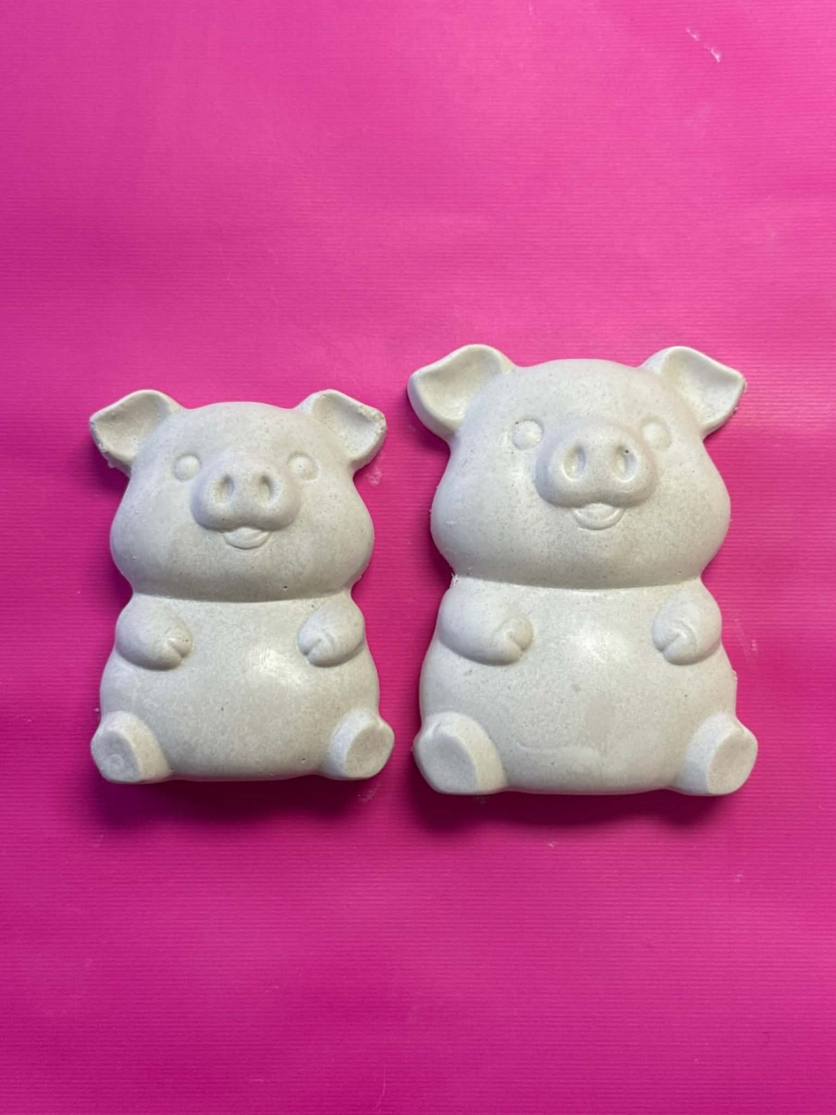 MAMA AND BABY PIG KIT