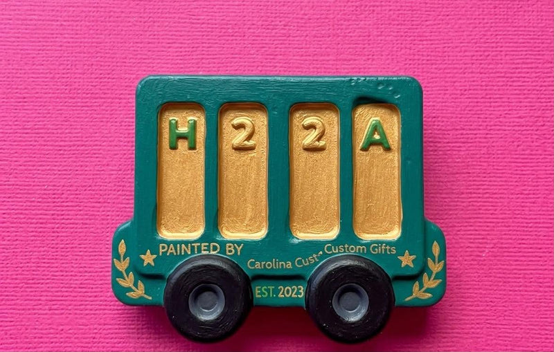 PAINT EXPRESS TRAIN 5 KIT