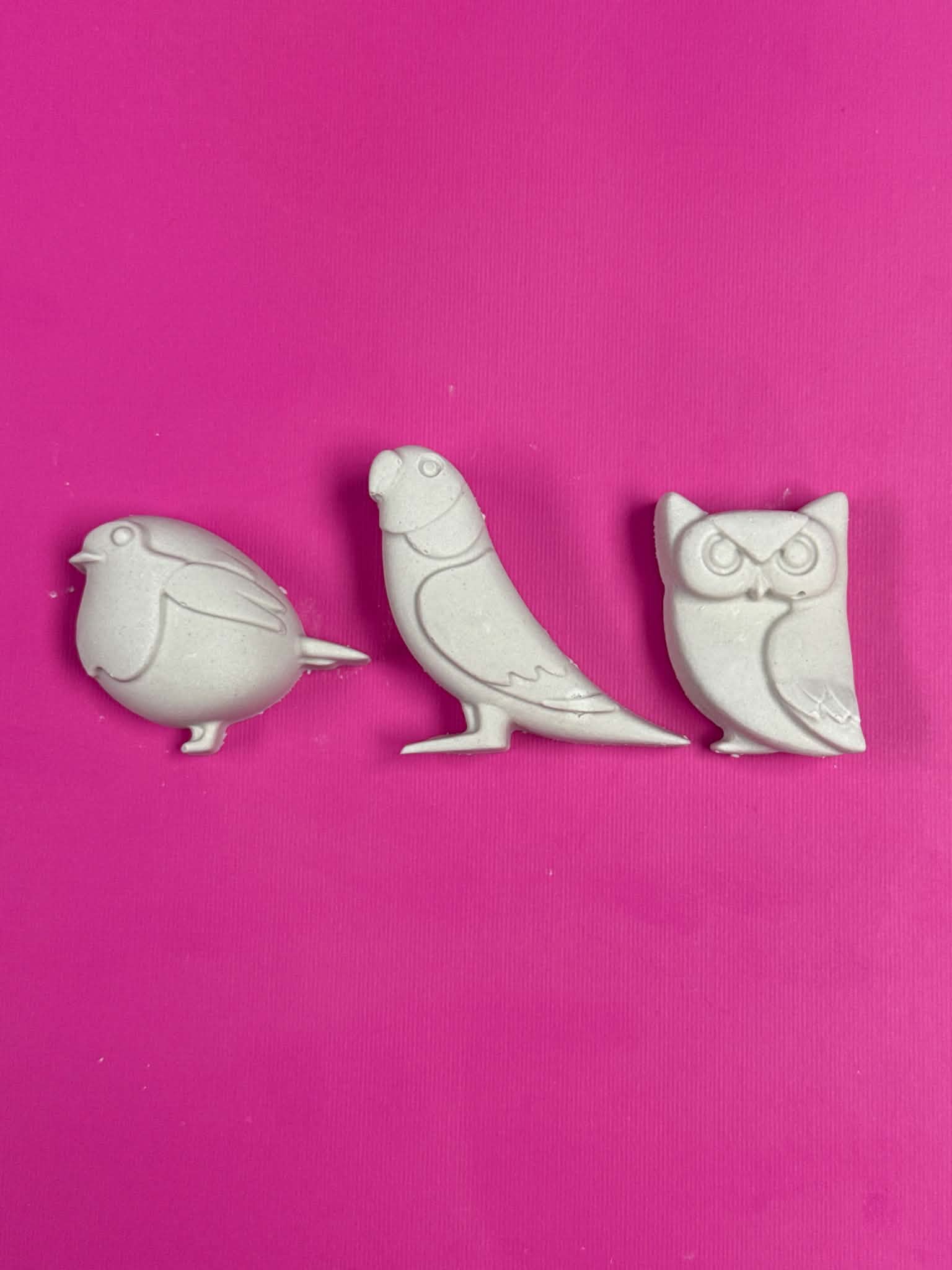 BIRDSONG BONANZA SET KIT